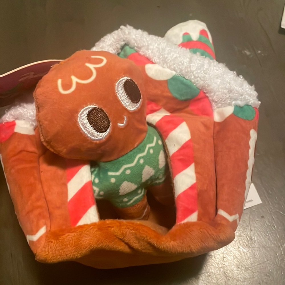 GingerBread house with the Gingerbread Man